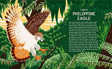 Book of Flight: 10 Record-Breaking Animals with Wings - Gabrielle Balkan [KSIĄŻKA]