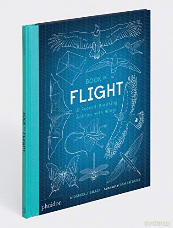 Book of Flight: 10 Record-Breaking Animals with Wings - Gabrielle Balkan [KSIĄŻKA]