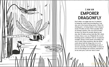 Book of Flight: 10 Record-Breaking Animals with Wings - Gabrielle Balkan [KSIĄŻKA]