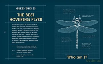 Book of Flight: 10 Record-Breaking Animals with Wings - Gabrielle Balkan [KSIĄŻKA]