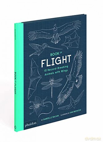 Book of Flight: 10 Record-Breaking Animals with Wings - Gabrielle Balkan [KSIĄŻKA]