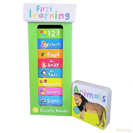 Book Tower: First Learning [KSIĄŻKA]