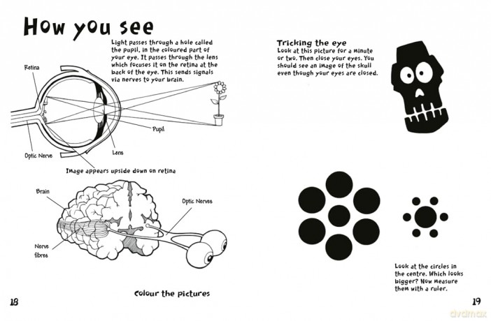 Boredom Buster: A Puzzle Activity Book of the Human Body - Dr Jen Green [KSIĄŻKA]