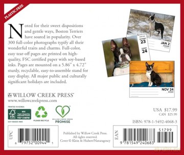 Boston Terriers 2025 Box [KSIĄŻKA]