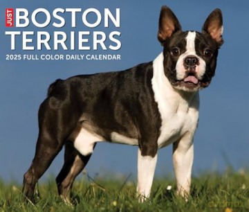 Boston Terriers 2025 Box [KSIĄŻKA]