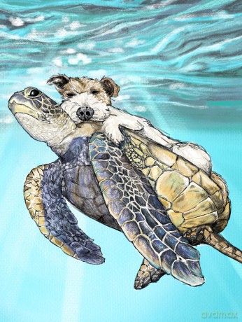 Bosun Bob The Salty Old Sea Dog - Erin Allgrove [KSIĄŻKA]