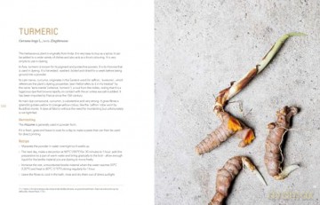 Botanical Dyes: A seasonal guide to sustainable dyeing - Aurélia Wolff [KSIĄŻKA]