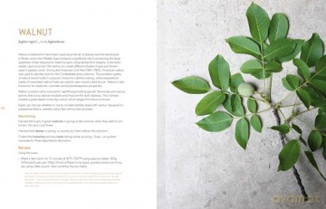Botanical Dyes: A seasonal guide to sustainable dyeing - Aurélia Wolff [KSIĄŻKA]