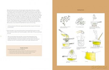 Botanical Dyes: A seasonal guide to sustainable dyeing - Aurélia Wolff [KSIĄŻKA]