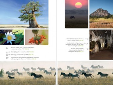 Botswana Safari Guide: Okavango Delta, Chobe, Northern Kalahari (Bradt Travel Guides) (Bradt Travel Guide Botswana) - Chris McIntyre [KSIĄŻKA]