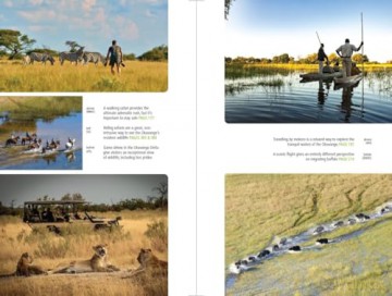 Botswana Safari Guide: Okavango Delta, Chobe, Northern Kalahari (Bradt Travel Guides) (Bradt Travel Guide Botswana) - Chris McIntyre [KSIĄŻKA]