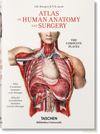 Bourgery. Atlas de anatomía humana y cirugía - Henri Sick [KSIĄŻKA]