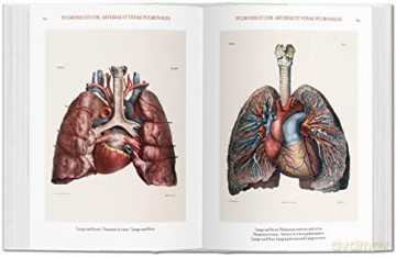 Bourgery. Atlas de anatomía humana y cirugía - Henri Sick [KSIĄŻKA]