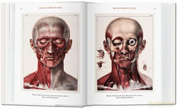 Bourgery. Atlas de anatomía humana y cirugía - Henri Sick [KSIĄŻKA]