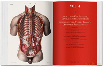 Bourgery. Atlas de anatomía humana y cirugía - Henri Sick [KSIĄŻKA]