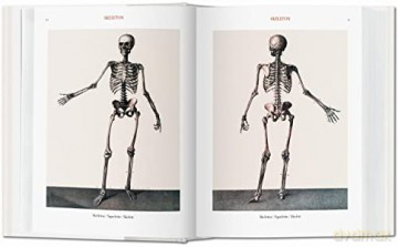 Bourgery. Atlas de anatomía humana y cirugía - Henri Sick [KSIĄŻKA]