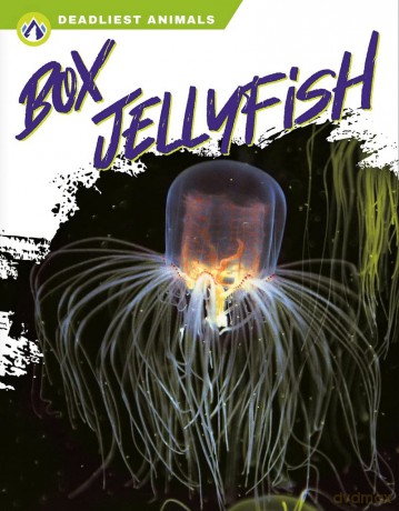 Box Jellyfish (Deadliest Animals) - Connor Stratton [KSIĄŻKA]