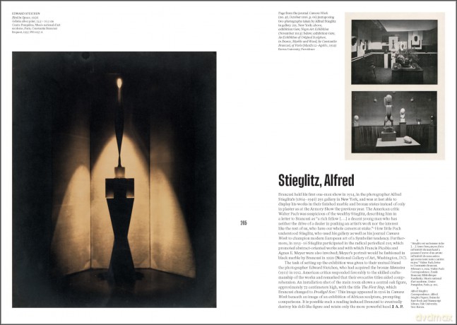 Brancusi - Ariane Coulondre [KSIĄŻKA]