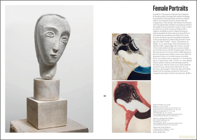 Brancusi - Ariane Coulondre [KSIĄŻKA]