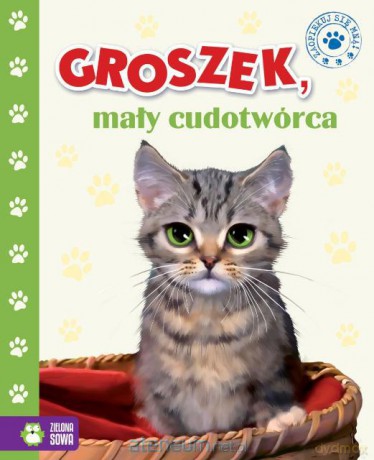 Groszek, mały cudotwórca [KSIĄŻKA]