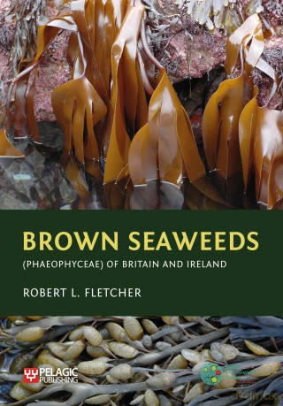 Brown Seaweeds (Phaeophyceae) of Britain and Ireland (Seaweeds of the British Isles) - Robert L. Fletcher [KSIĄŻKA]