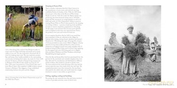 Bucked in the Yarn - The Unique Heritage of Coker Canvas: The Unique Heritage of Coker Canvas - Terry Stevens [KSIĄŻKA]