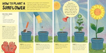 Bugs and Nature (Early learning sticker book for little explorers) [KSIĄŻKA]