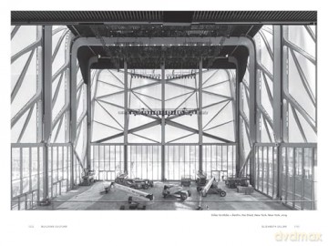 Building Culture: Sixteen Architects on How Museums Are Shaping the Future of Art, Architecture, and Public Space - Julian Rose [KSIĄŻKA]