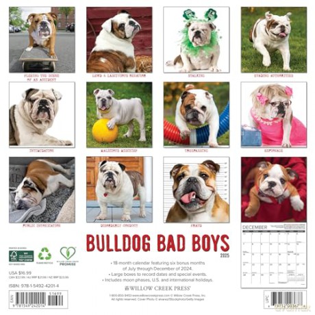 Bulldog Bad Boys 2025 Wall [KSIĄŻKA]