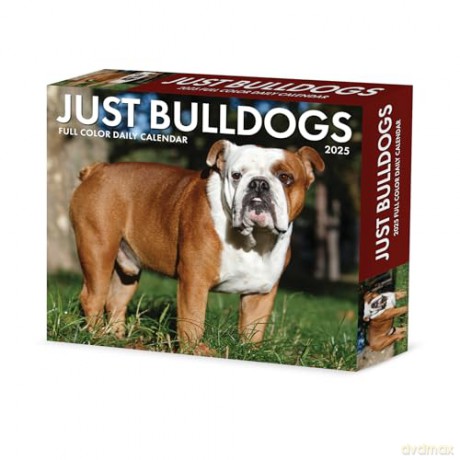 Bulldogs 2025 Box [KSIĄŻKA]