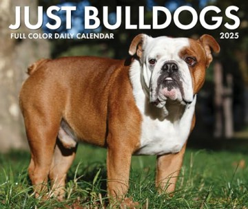 Bulldogs 2025 Box [KSIĄŻKA]