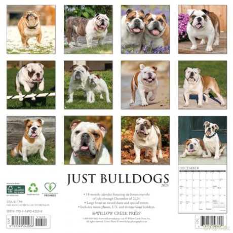 Bulldogs 2025 Wall [KSIĄŻKA]