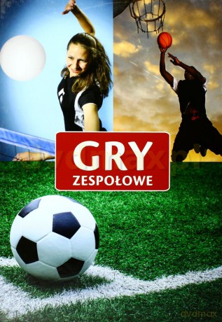 Gry zespołowe Damidos [KSIĄŻKA]