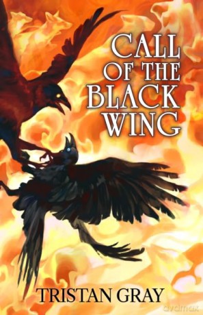 Call of the Black Wing (Tales of the Seann Aite) - Tristan GRay [KSIĄŻKA]