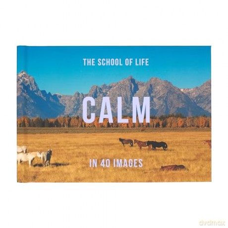Calm in 40 Images: The Art of Finding Serenity: 3 - The School of Life [KSIĄŻKA]