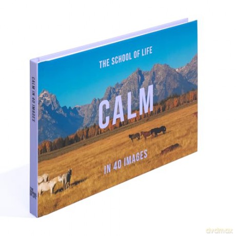 Calm in 40 Images: The Art of Finding Serenity: 3 - The School of Life [KSIĄŻKA]