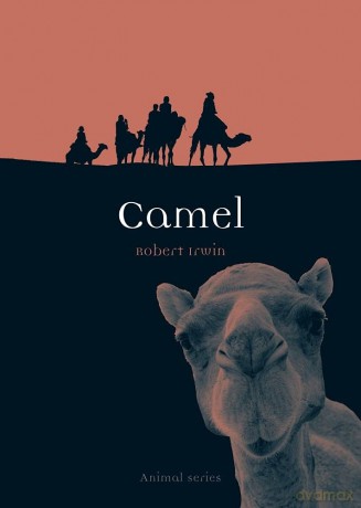 Camel (Animal Series) - Robert Irwin [KSIĄŻKA]