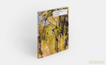 Cameron Jamie (Phaidon Contemporary Artists Series) - Cameron Jamie [KSIĄŻKA]