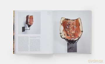Cameron Jamie (Phaidon Contemporary Artists Series) - Cameron Jamie [KSIĄŻKA]