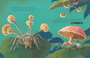 Can Mushrooms Save the World: Discover the science behind mycology: 1 (The Big Questions Answered) - Eliza Jeffery [KSIĄŻKA]