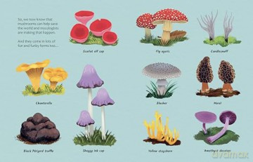Can Mushrooms Save the World: Discover the science behind mycology: 1 (The Big Questions Answered) - Eliza Jeffery [KSIĄŻKA]