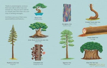 Can Trees Talk To Each Other, The Big Questions Answered: Dendrology 3: Discover the science behind dendrology - Olivia Watson [KSIĄŻKA]