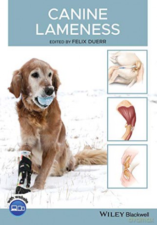 Canine Lameness - Felix Duerr [KSIĄŻKA]