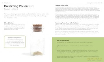 Cannabis: Everything You Need to Grow Marijuana Indoors and Outdoors (Green Thumb Guides) - Kevin Oliver [KSIĄŻKA]