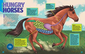 Can't Get Enough Horse Stuff - Neil C. Cavanaugh [KSIĄŻKA]