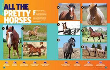 Can't Get Enough Horse Stuff - Neil C. Cavanaugh [KSIĄŻKA]