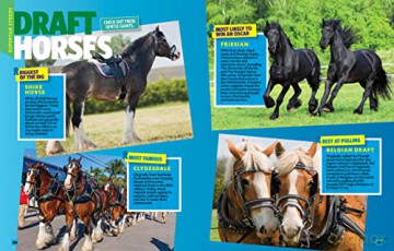 Can't Get Enough Horse Stuff - Neil C. Cavanaugh [KSIĄŻKA]