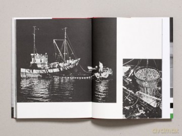 Captured by the Norwegians - Aki Books [KSIĄŻKA]
