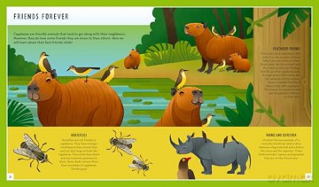 Capybara (Young Zoologist): A First Field Guide to the Biggest Rodent in the World: 11 (Young Zoologist, 11) - Julia Mata [KSIĄŻKA]