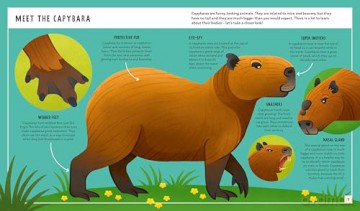 Capybara (Young Zoologist): A First Field Guide to the Biggest Rodent in the World: 11 (Young Zoologist, 11) - Julia Mata [KSIĄŻKA]